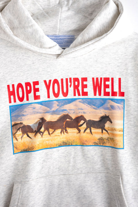 HORSES HOODIE