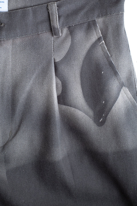 FLAMING DOLPHIN SHORTS