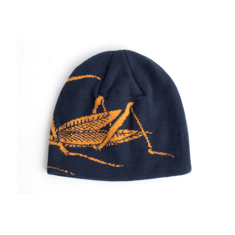 Praying Mantis Beanie