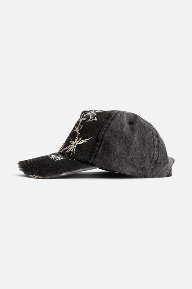 Find Truth Distressed Cap