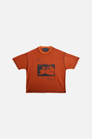 Swans Knit Tee