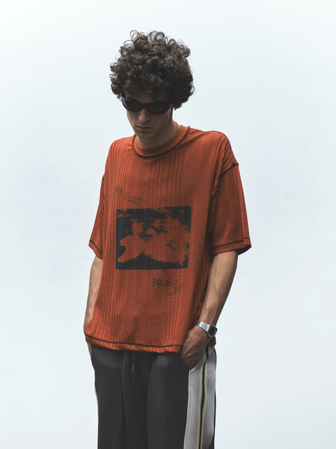 SWANS KNIT TEE