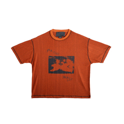 SWANS KNIT TEE